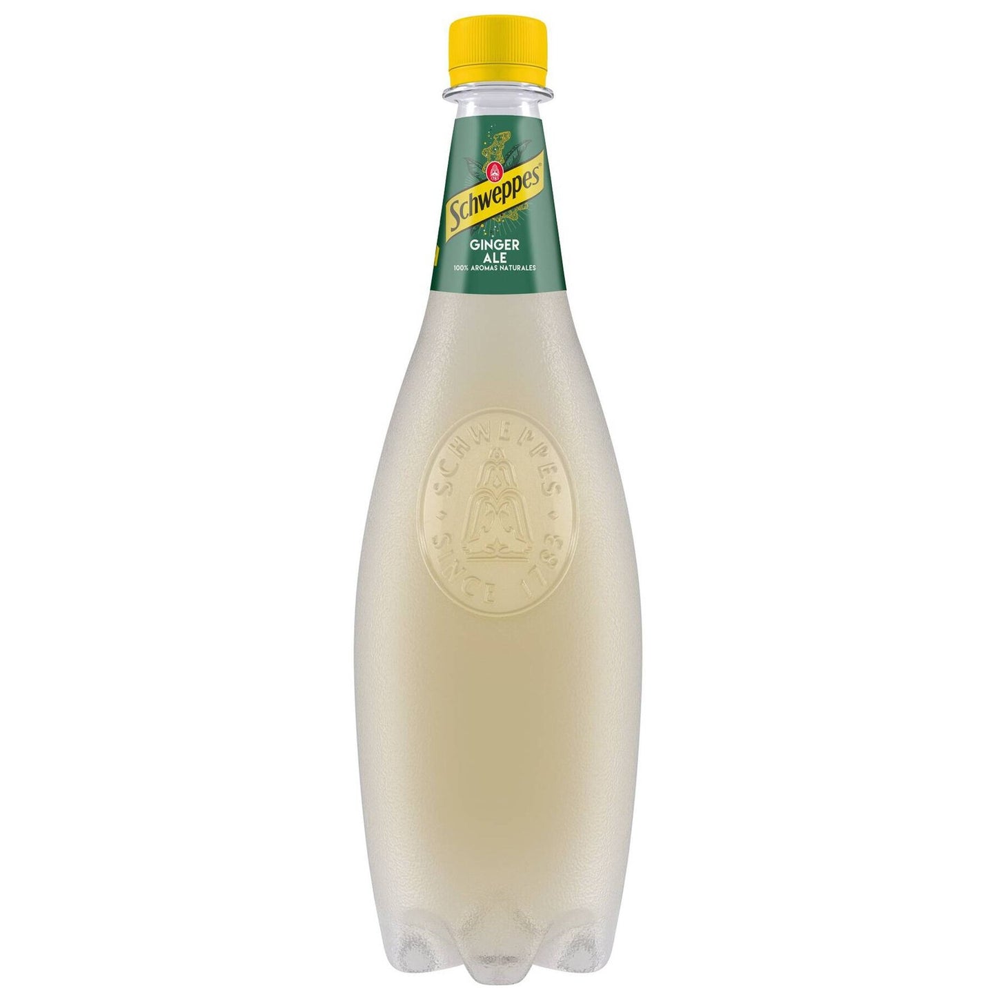 Schweppes Ginger Ale Carbonated Soft Drink 1L fizzy ginger soda bottle